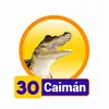 Caiman