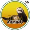 Armino